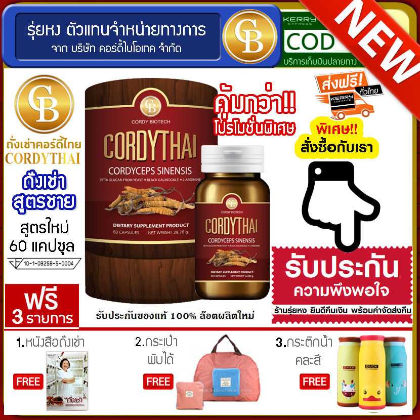 Cordythai ถั่งเช่าคอร์ดี้ไทย สูตรชาย 1กระปุก (60 แคปซูล) ฟรี หนังสือถั่งเช่า กระเป๋าพับได้ กระติก
