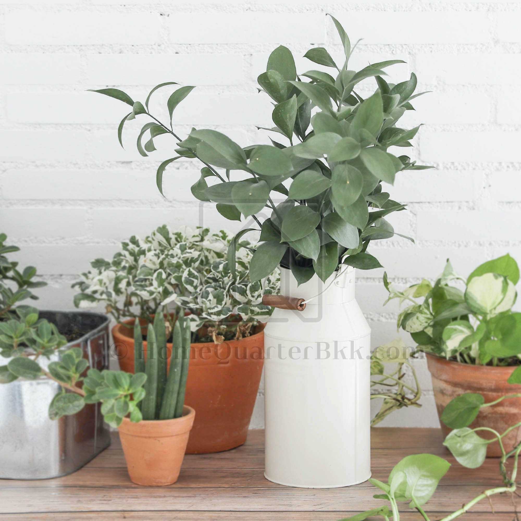 ถังนมขนาดเล็ก สีครีม | Chunky Milk Pot-Matte Cream