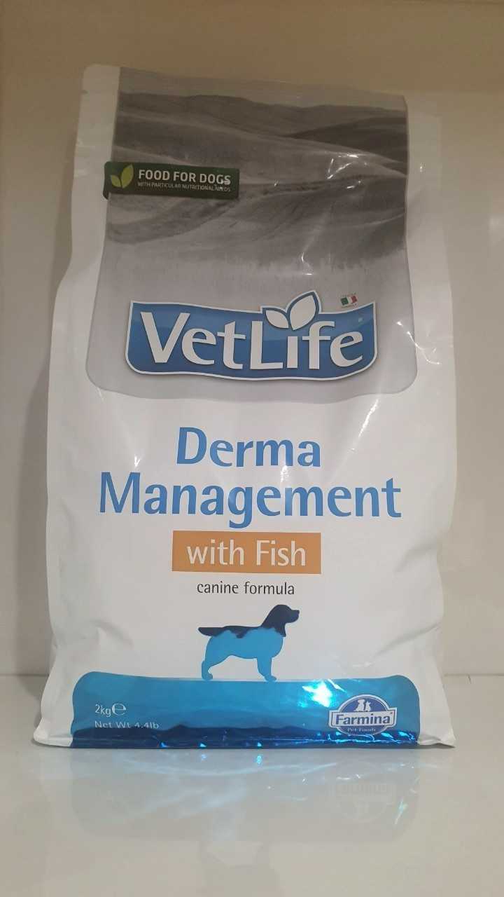 Derma Management