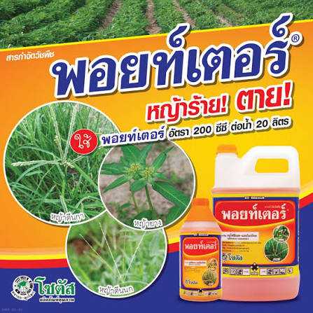 พอยท์เตอร์ (Pointer) สารกำจัดวัชพืชประเภทใบแคบ ใบกว้าง กก