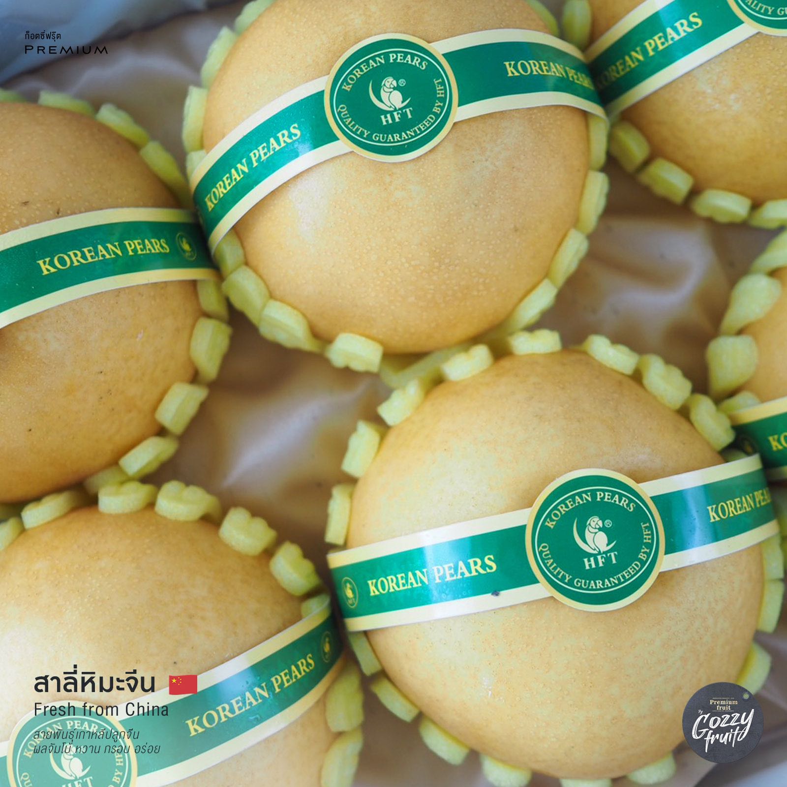 สาลี่หิมะสายพันธ์ุเกาหลี  แบรนด์นกแก้ว