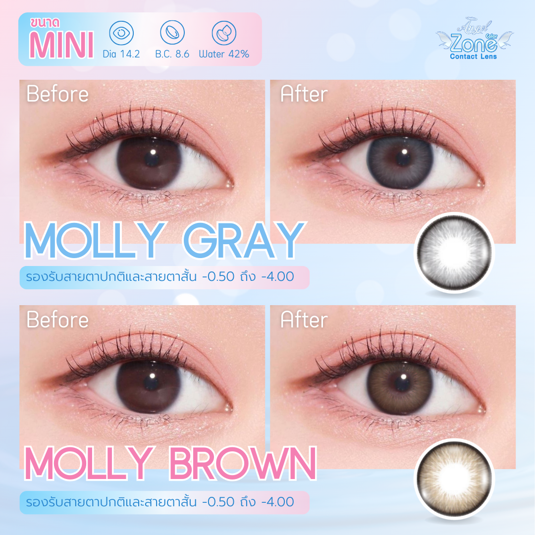สินค้าขายดี รุ่น Molly คอนแทคเลนส์ Angelzone (Everyday)