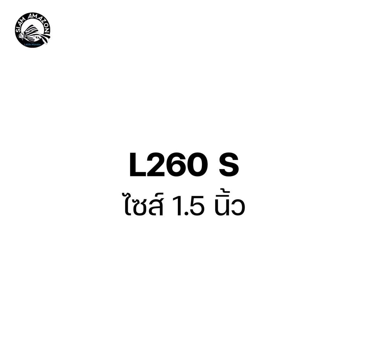 L260 S ไซส์ 1.5 นิ้ว