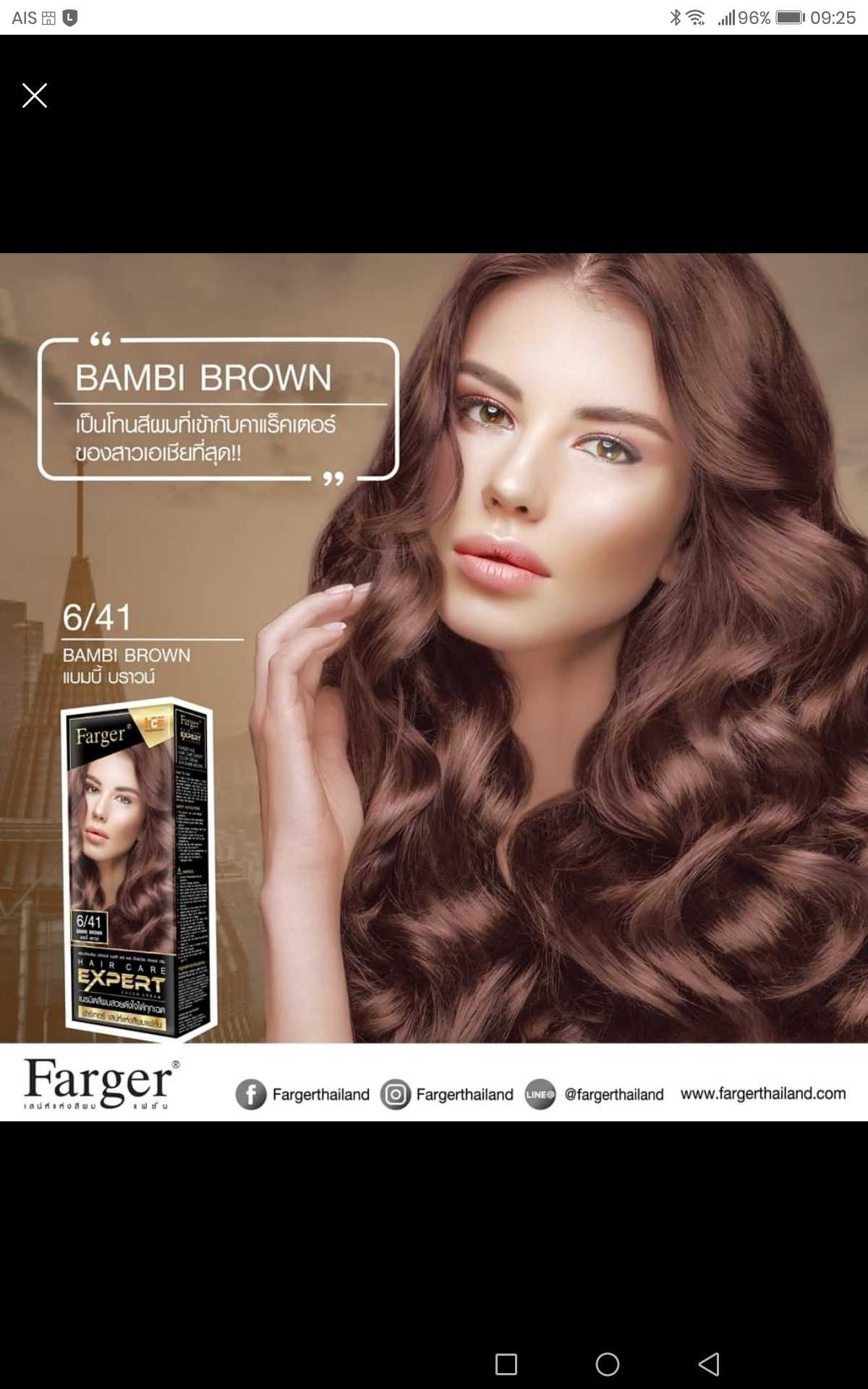 ฟาเกอร์สีแบมบี้ บราวน์ 6/41