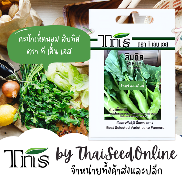 TNS(ทีเอ็นเอส) TNS เมล็ดพันธุ์แบบซองเล็ก คะน้าเห็ดหอม สิบทิศ ปริมาณ 7 กรัม ตรา ที เอ็น เอส