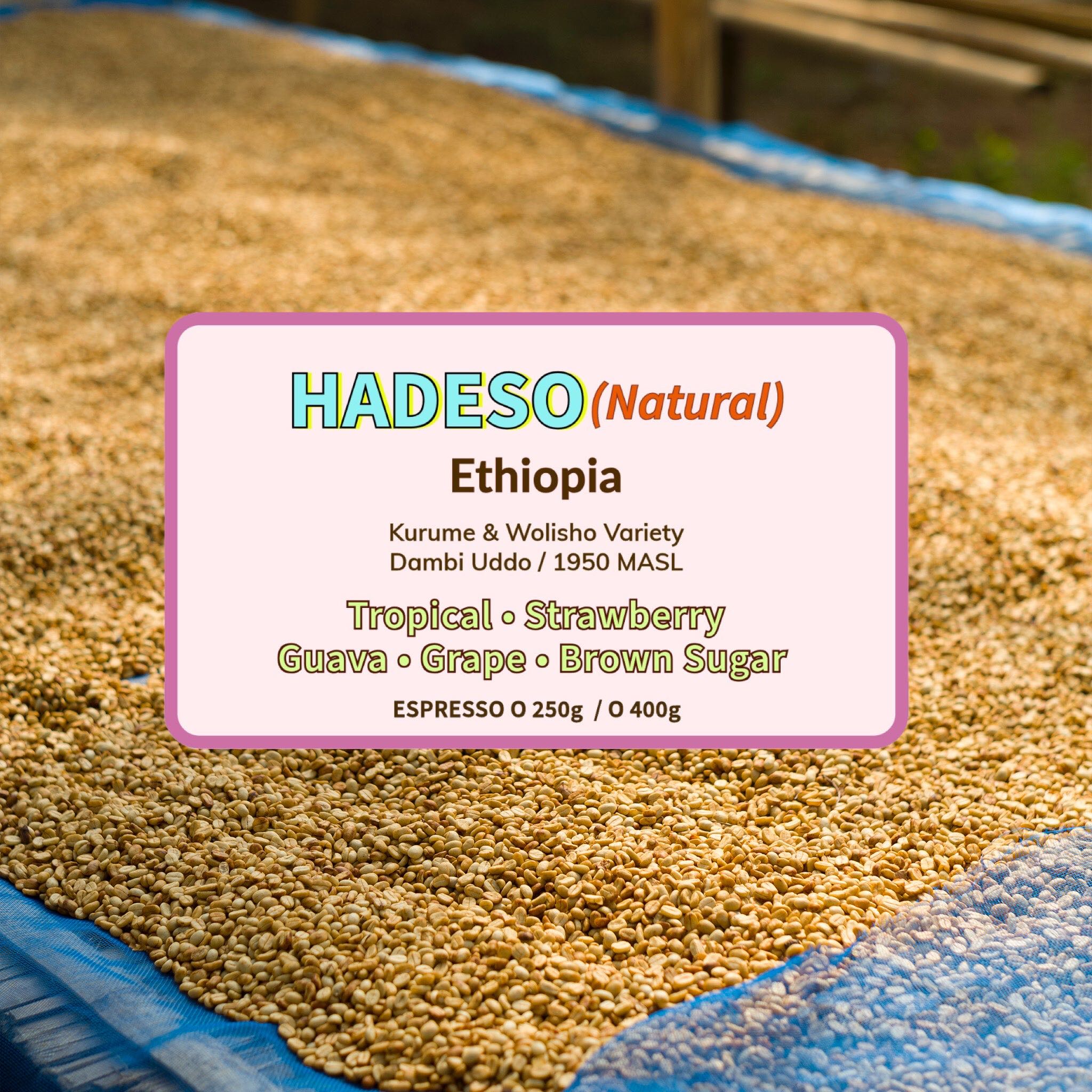 Hadeso - Natural ( Espresso Roasted )