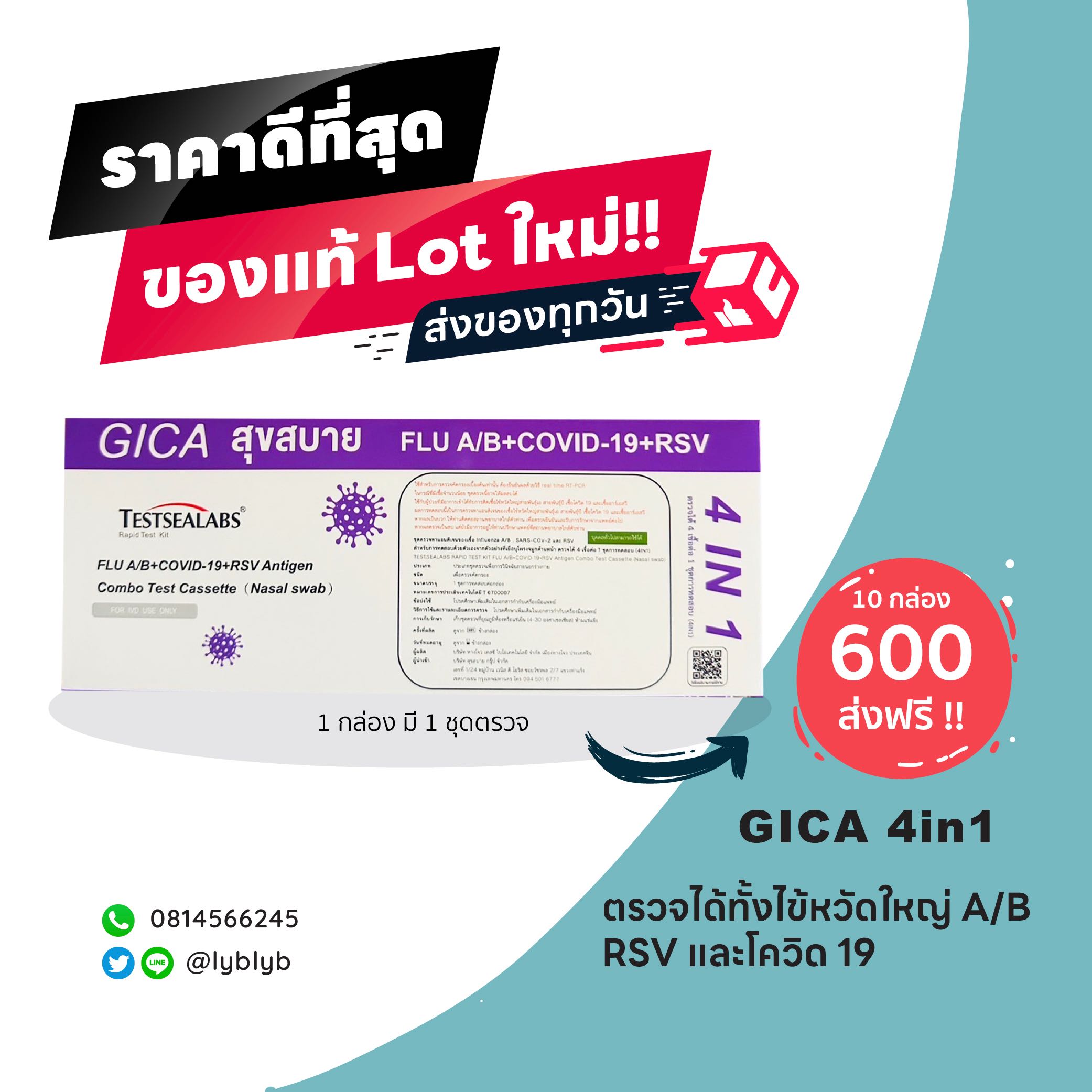 ชุดตรวจไข้หวัดใหญ่ RSV 10 เทสสุดคุ้ม!!! GICA 4in1