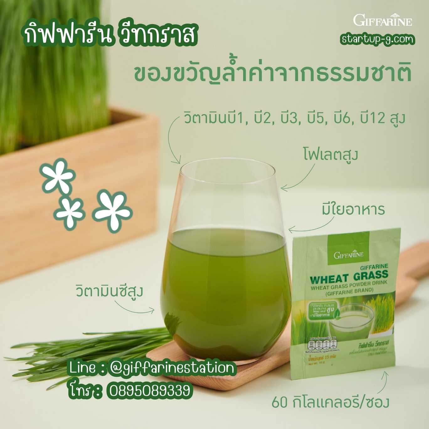 🌿วีทกราส Wheat Grass เครื่องดื่มใบอ่อนข้าวสาลี อร่อยดื่มง่ายได้ประโยชน์ กิฟฟารีน Giffarine