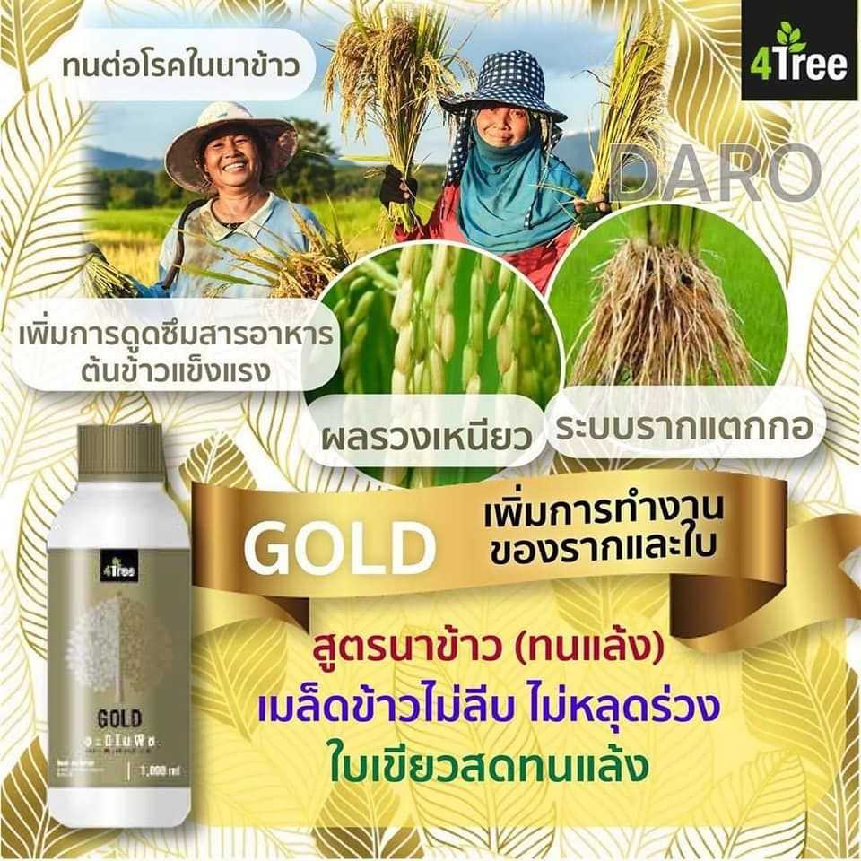 อมิโน Gold
