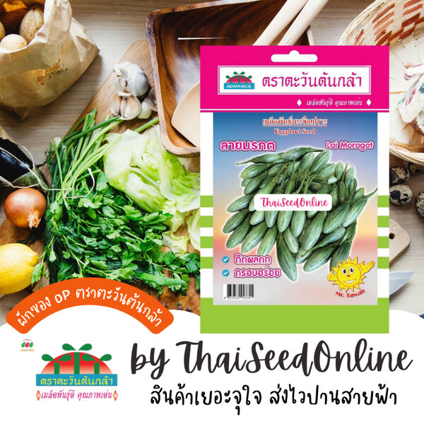 Advance Seeds(ตราตะวันต้นกล้า) ADVOP ซฟ เมล็ดพันธุ์ มะเขือเปราะ ลายมรกต ตราตะวันต้นกล้า