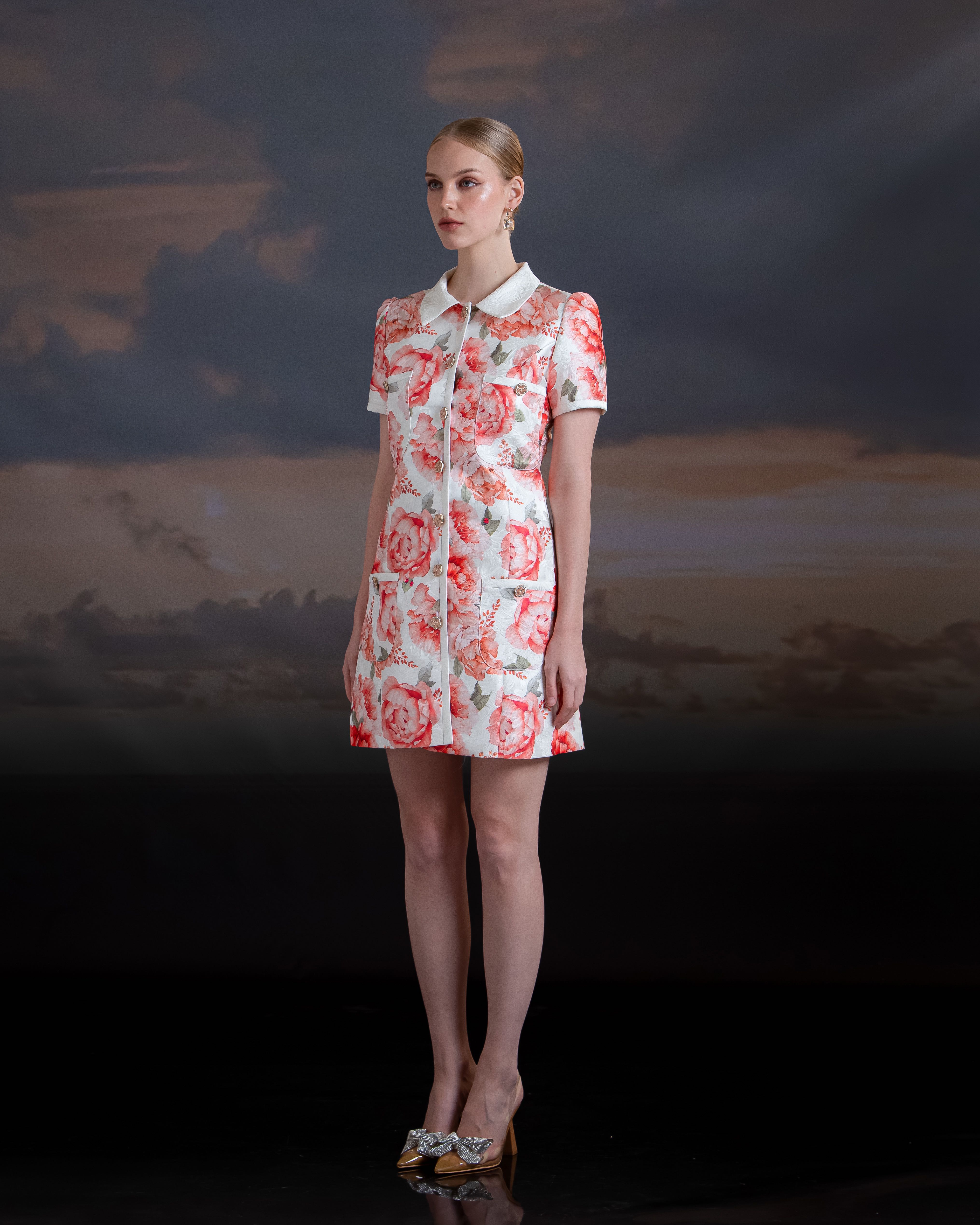 Mini Shirt Dress