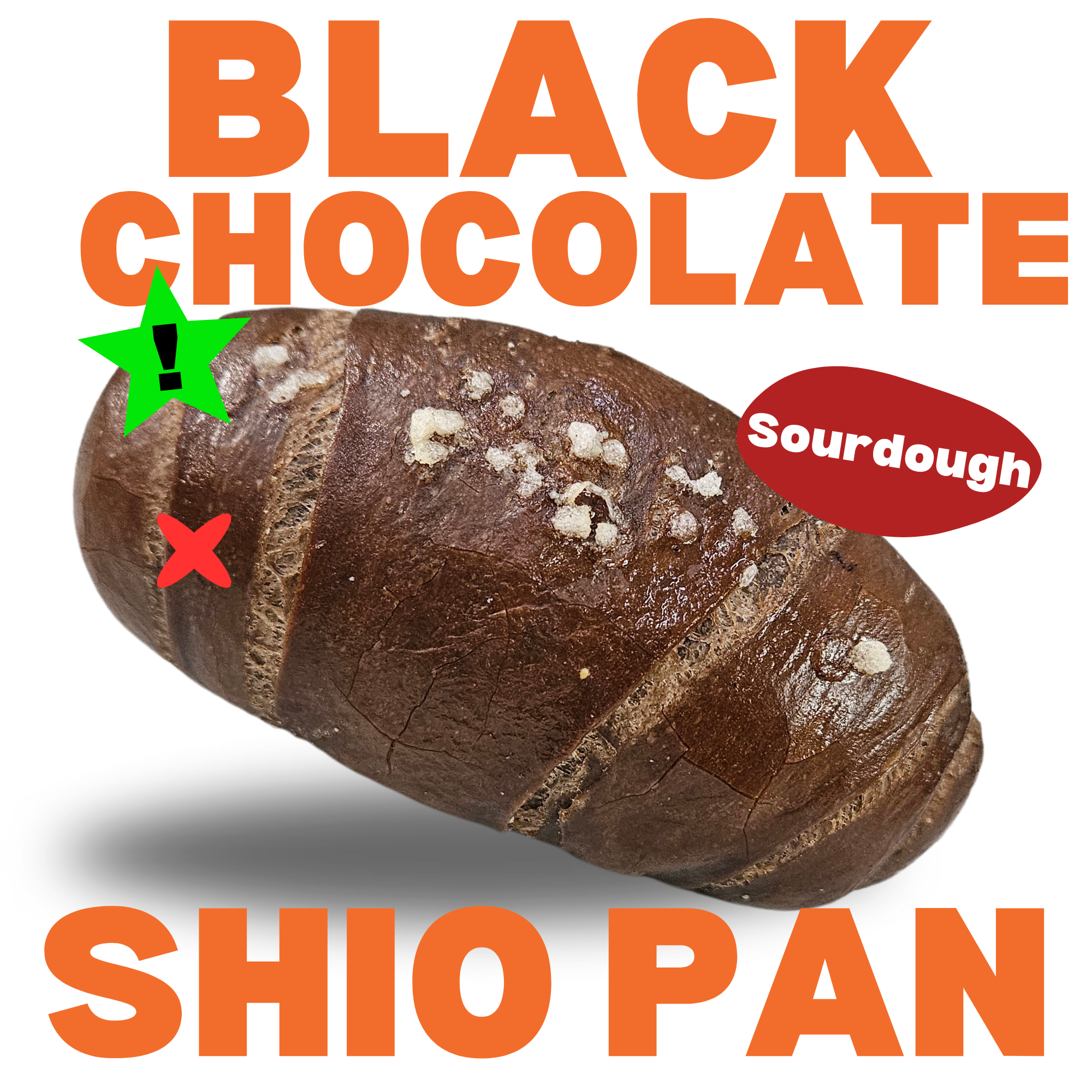 Sourdough Shio Pan: Black Chocolate