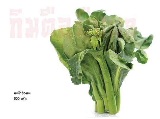 คะน้าฮ่องกง(Chinese Kale )