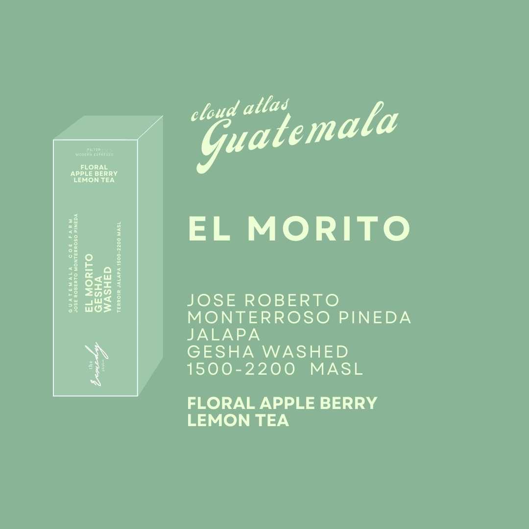 100 g Morito Gesha Washed