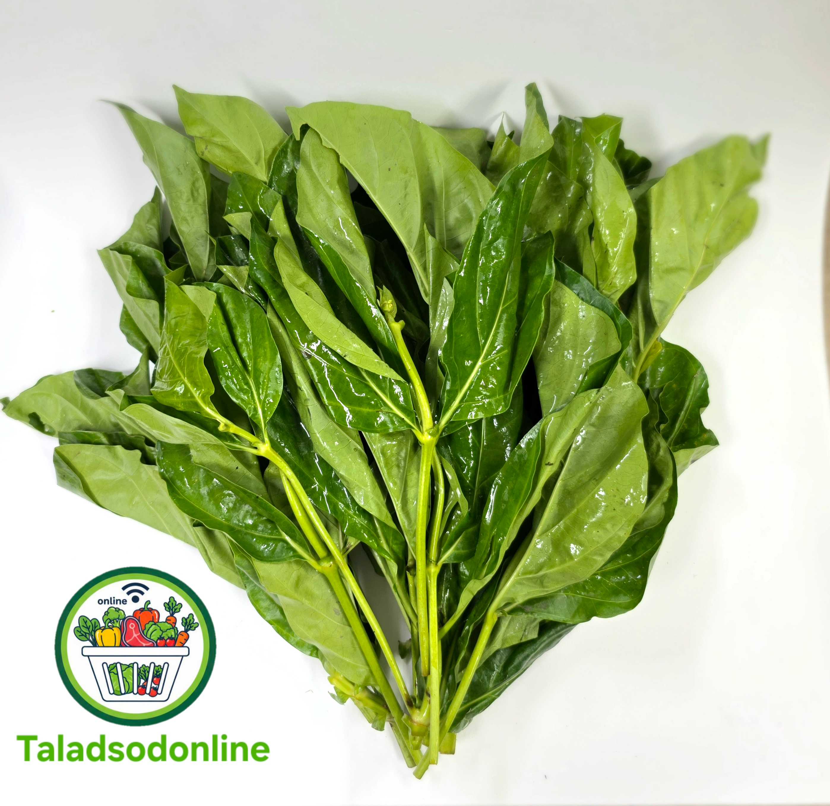 ใบยอ สด สะอาด รับประกันคุณภาพ