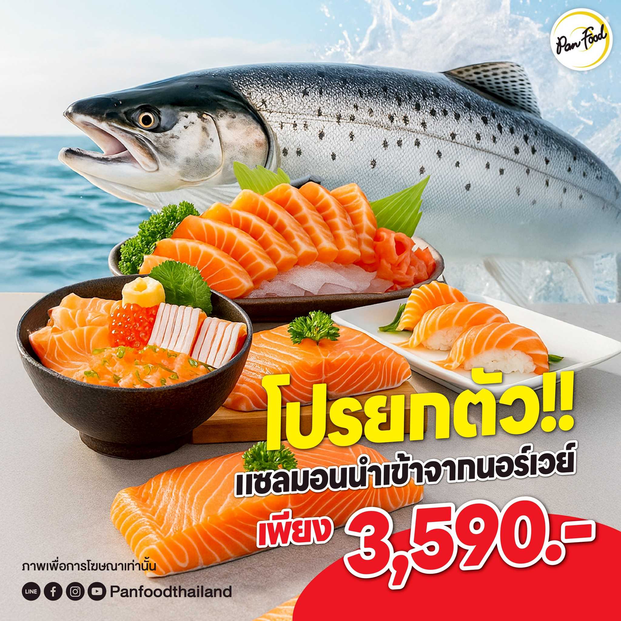 Fresh Norwegian Salmon 4-5 kg