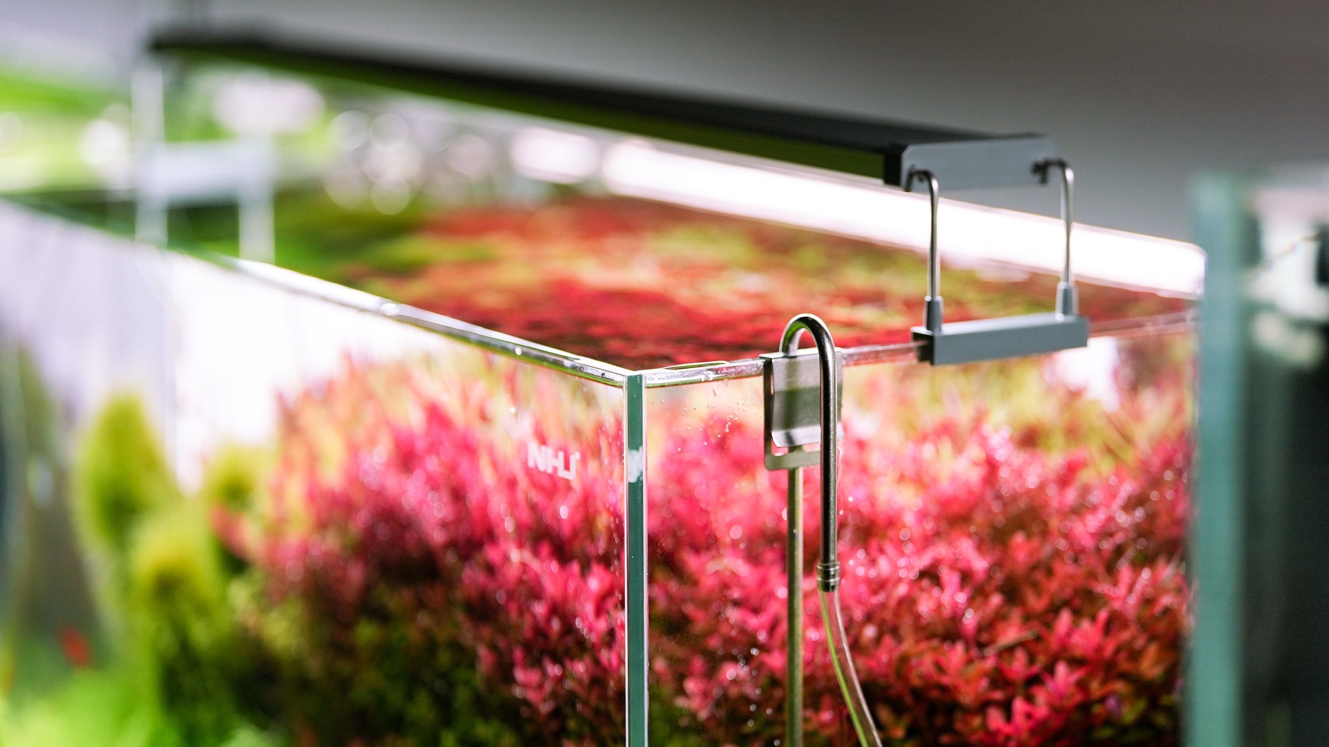 Led for fish&plant 45-50 cm tank