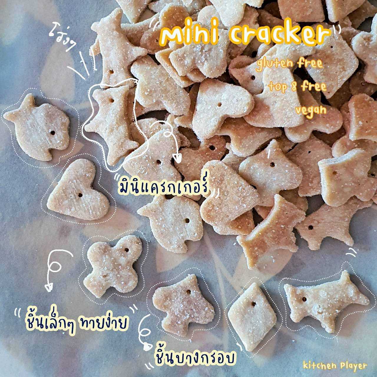 Mini Cracker  #Top8Free#Gluten Free#Vegan