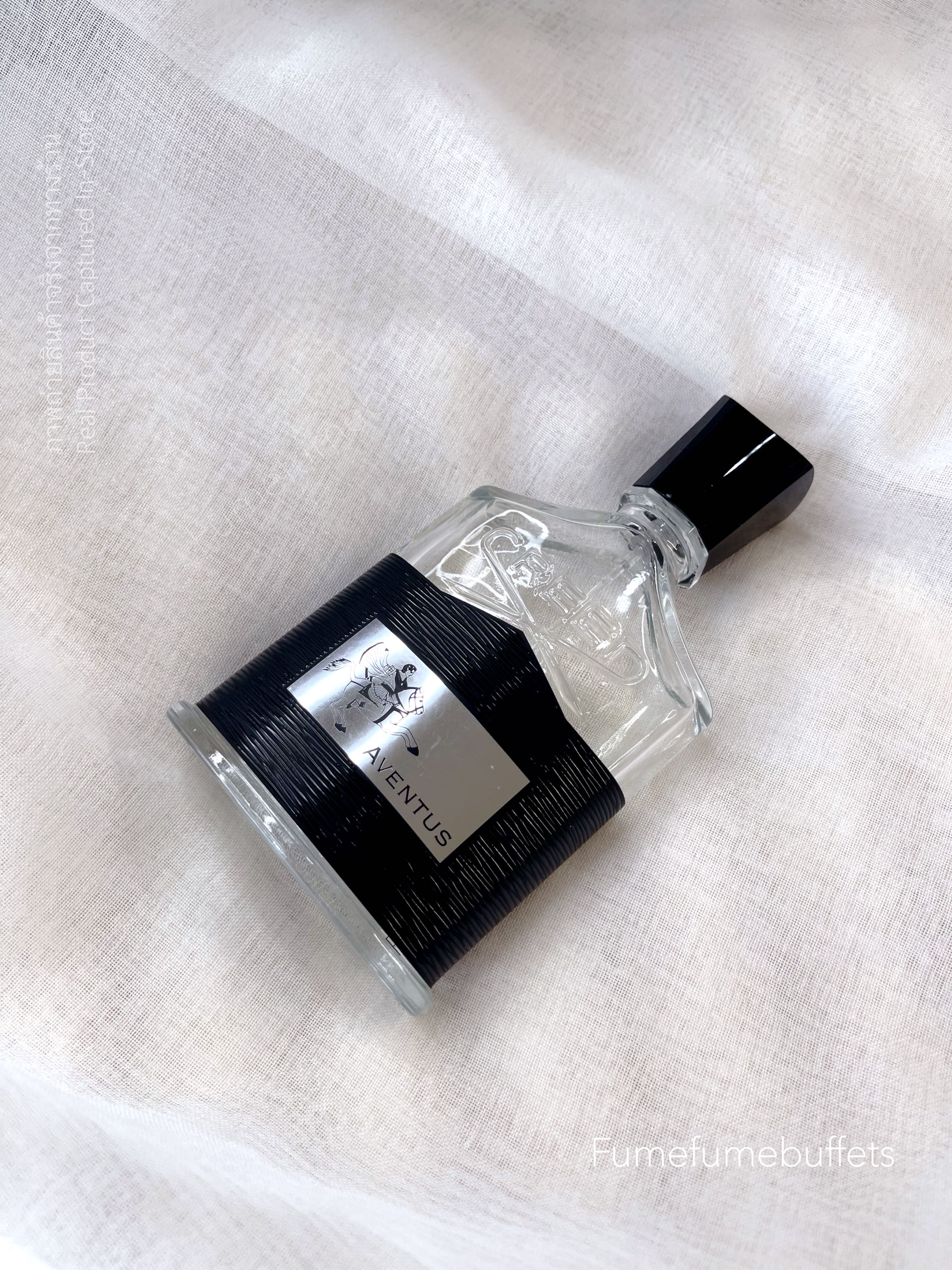  CREED AVENTUS