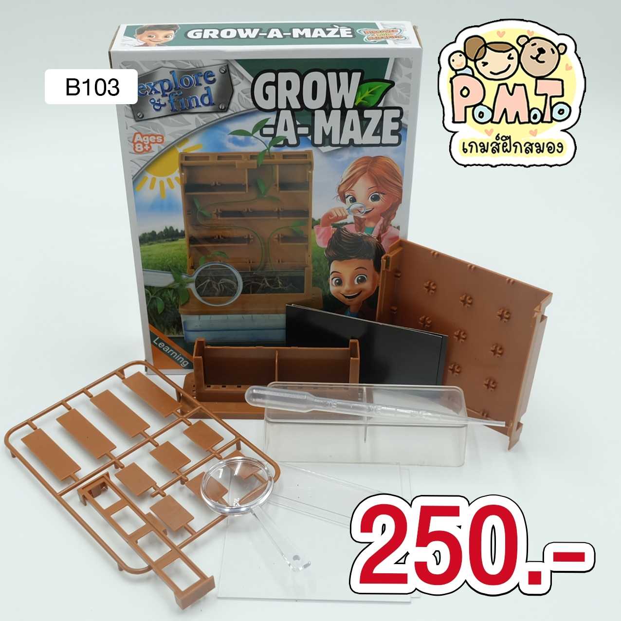 Grow a Maze ชุด DIY ทดลองการเจริญเติบโตของเมล็ดพืช รหัส B-103 (6ขวบขึ้นไป)