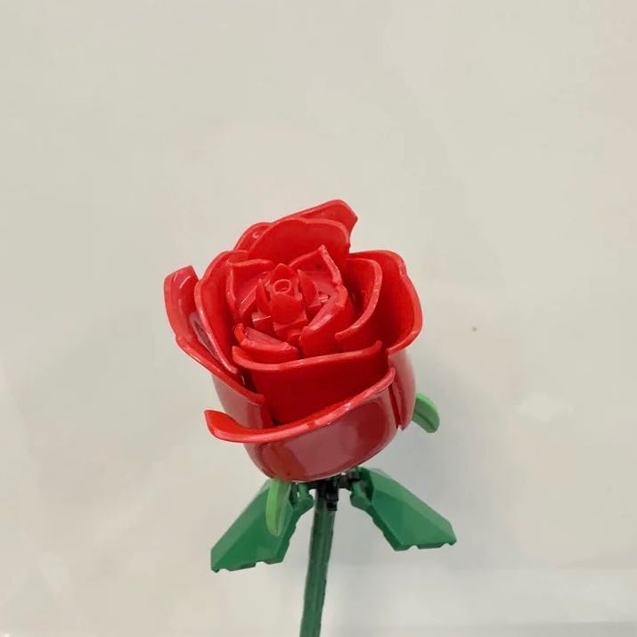 #พร้อมส่ง ดอกกุหลาบแดงแบบกลีบบาง 🌹