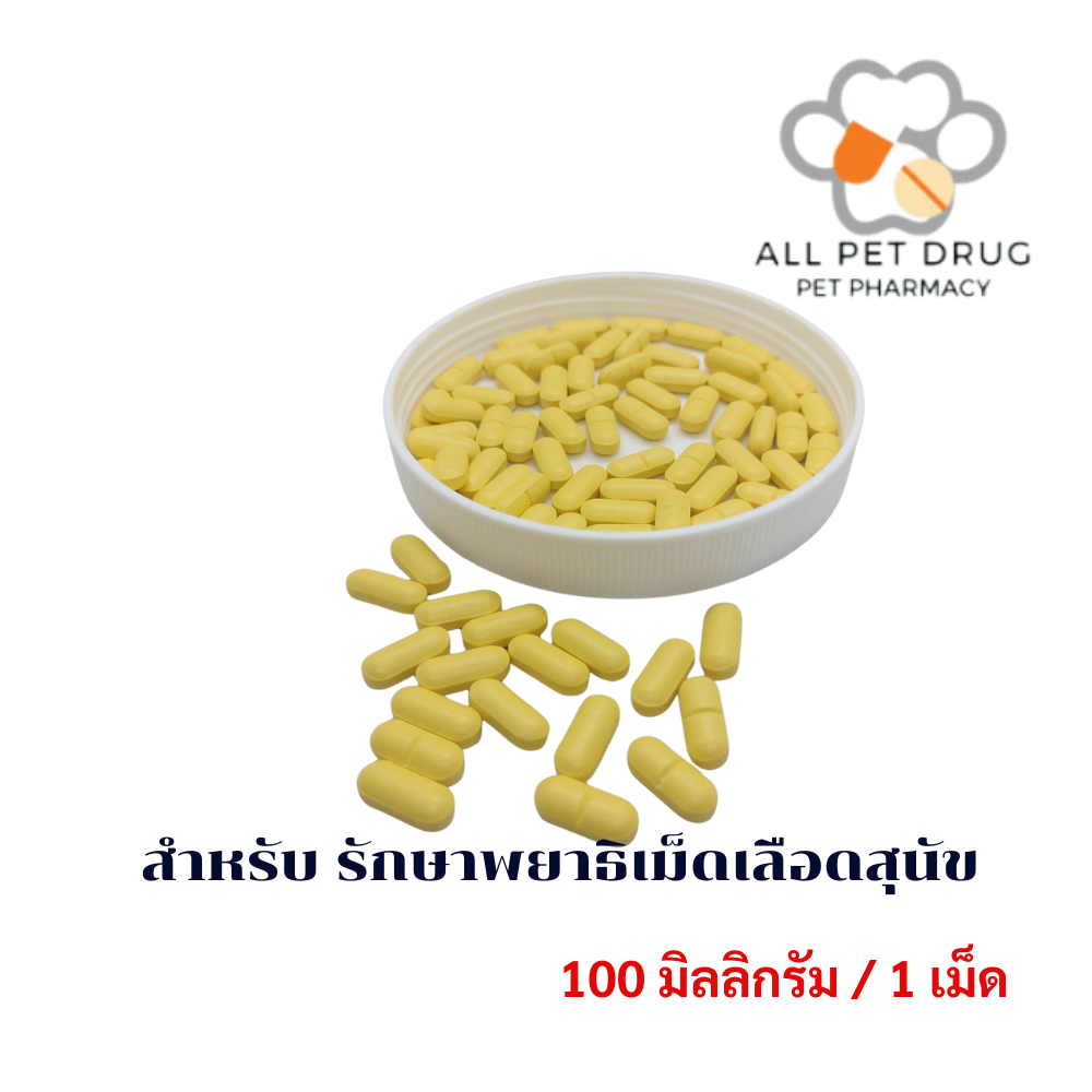 Doxycycline 100 mg สำหรับรักษา พยาธิเม็ดเลือดสุนัข