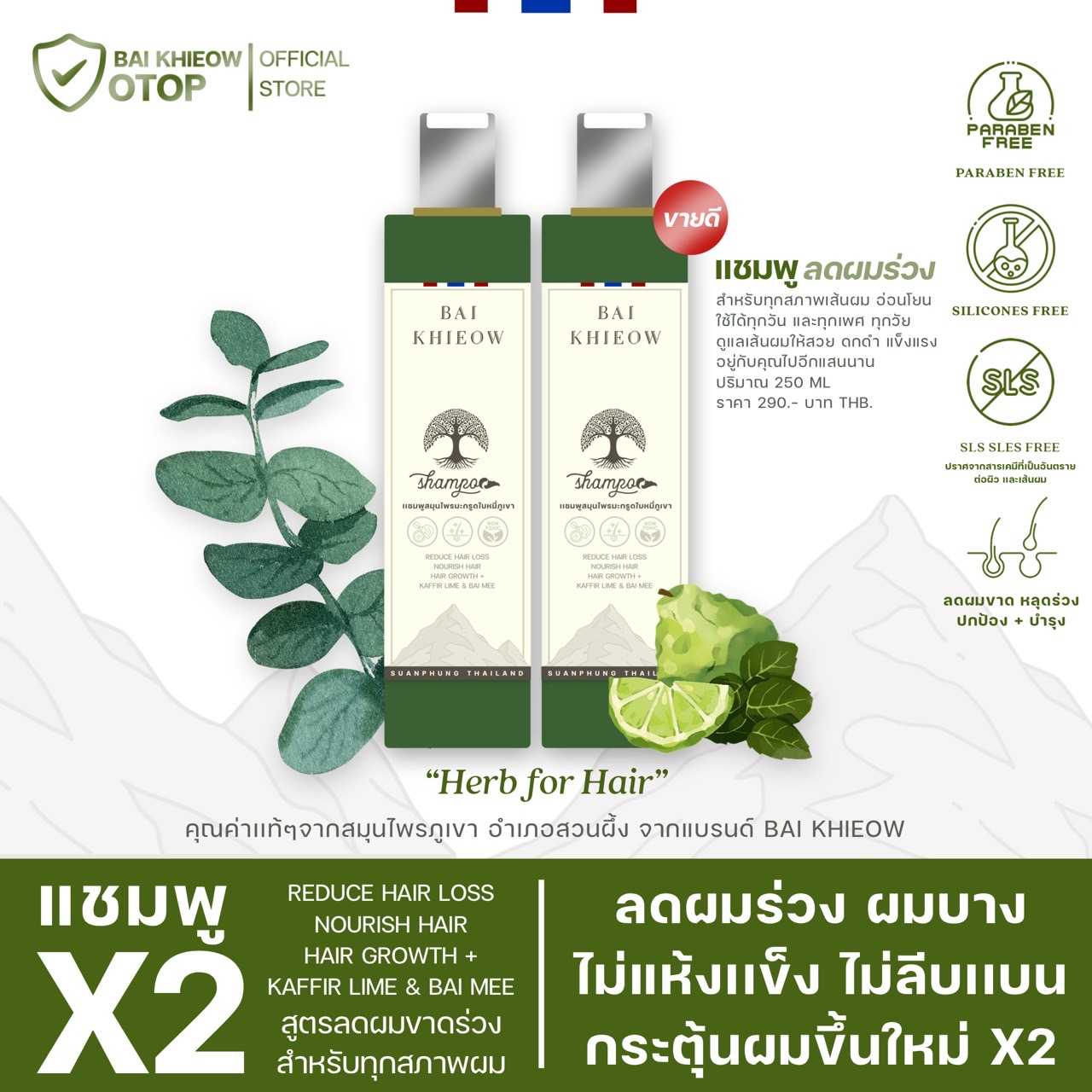 BAI KHIEOW : [เเชมพูX2] BERGAMOT AND LITSEA MOUNTAIN HERBAL เเชมพูสมุนไพรมะกรูดใบหมี่ภูเขา