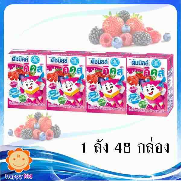 ดัชมิลล์ คิดส์ รสเบอร์รี่รวม 4x90 มล. 1 ลัง