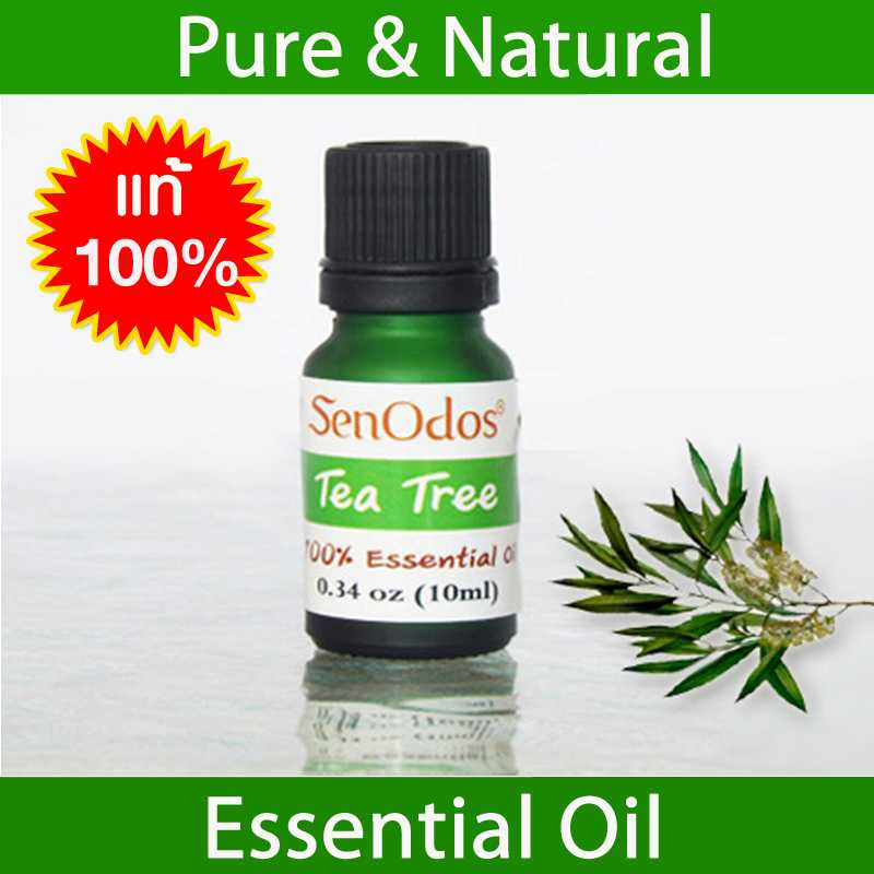 น้ำมันหอมระเหยแท้ 100%  กลิ่นทีทรี  Tea Tree 100% Pure Essential Oil 10 ml.