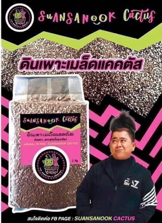ดินเพาะเมล็ด