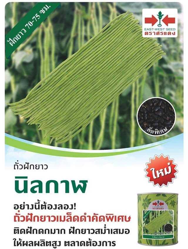 ถั่วฝักยาวนิลกาฬ   500กรัม   #เมล็ดพันธ์ุ
