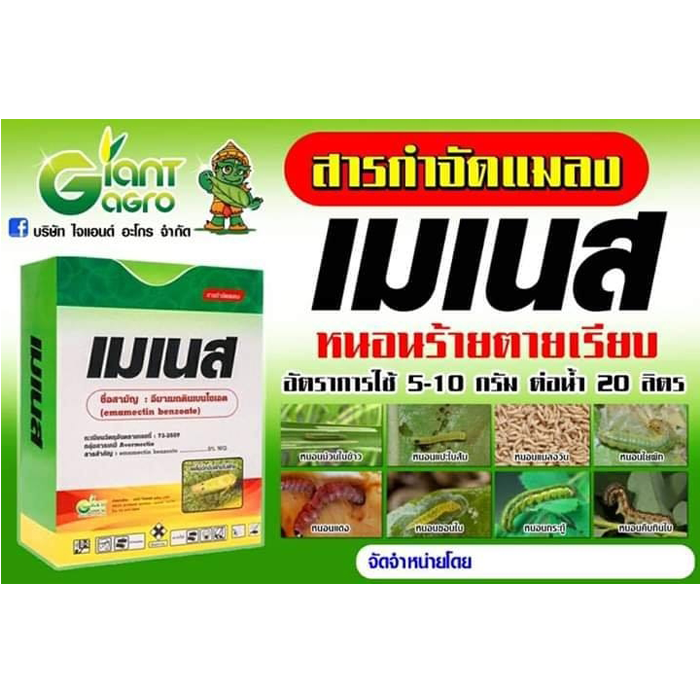 เมเนส 100 กรัม