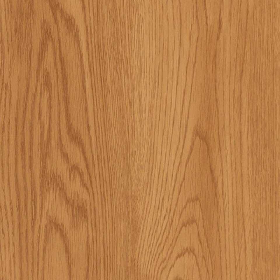 CO-03 Belle Beech