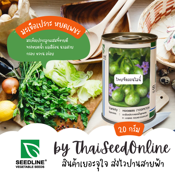 กป 20 กรัม หยดเพชร มะเขือเปราะหยดน้ำลูกผสม ตราซีดไลน์ Round Eggplant Yodpetch