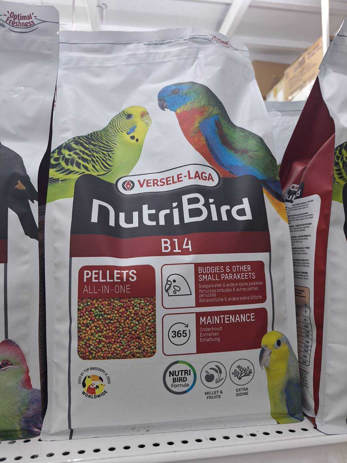 Versele-Laga Nutribird B14 อาหารนกสำเร็จรูป สำหรับนกแก้วขนาดเล็ก หงส์หยก ฟอพัส เลิฟเบิร์ด 800กรัม