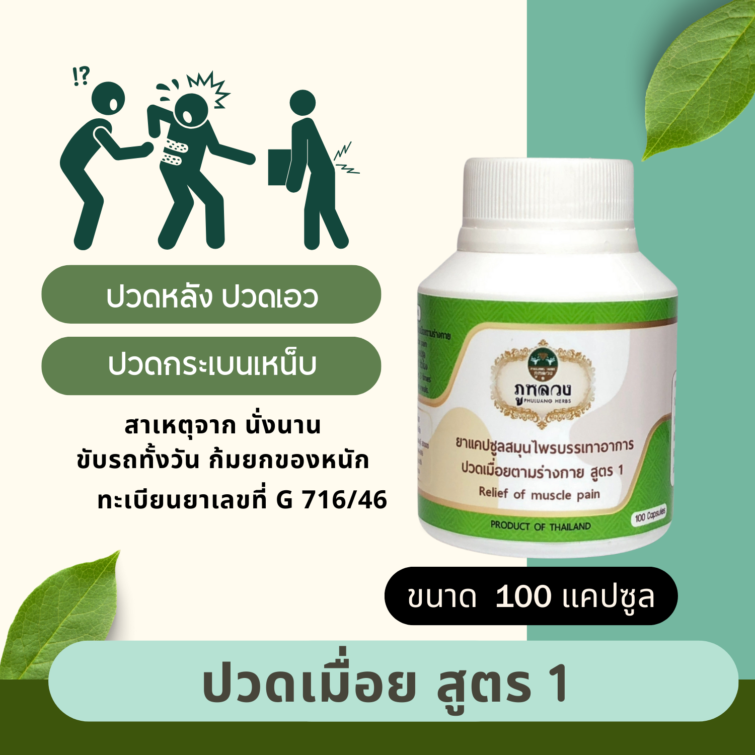 ปวดเอว : บรรเทาอาการปวดเมื่อย สูตร 1 (ขนาดบรรจุ 100 แคปซูล)