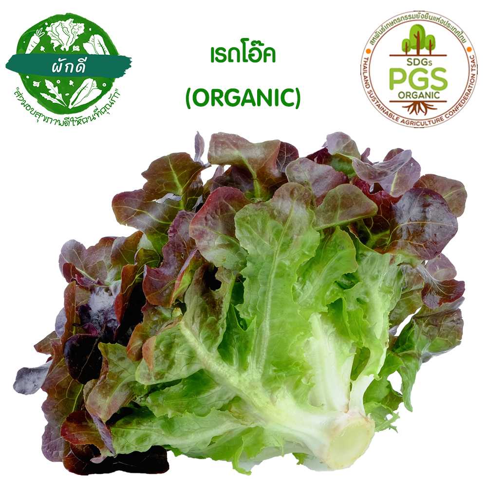 ผักสลัด เรดโอ๊ค ออแกนิก (Red Oak Lettuce)  250 กรัม