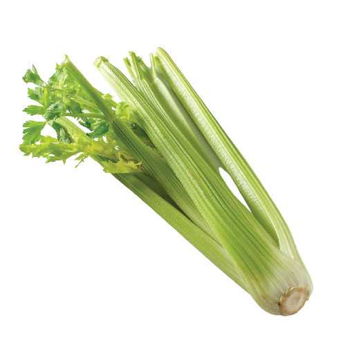FG03006 เซเลอรี่ Celery ( 1kg )