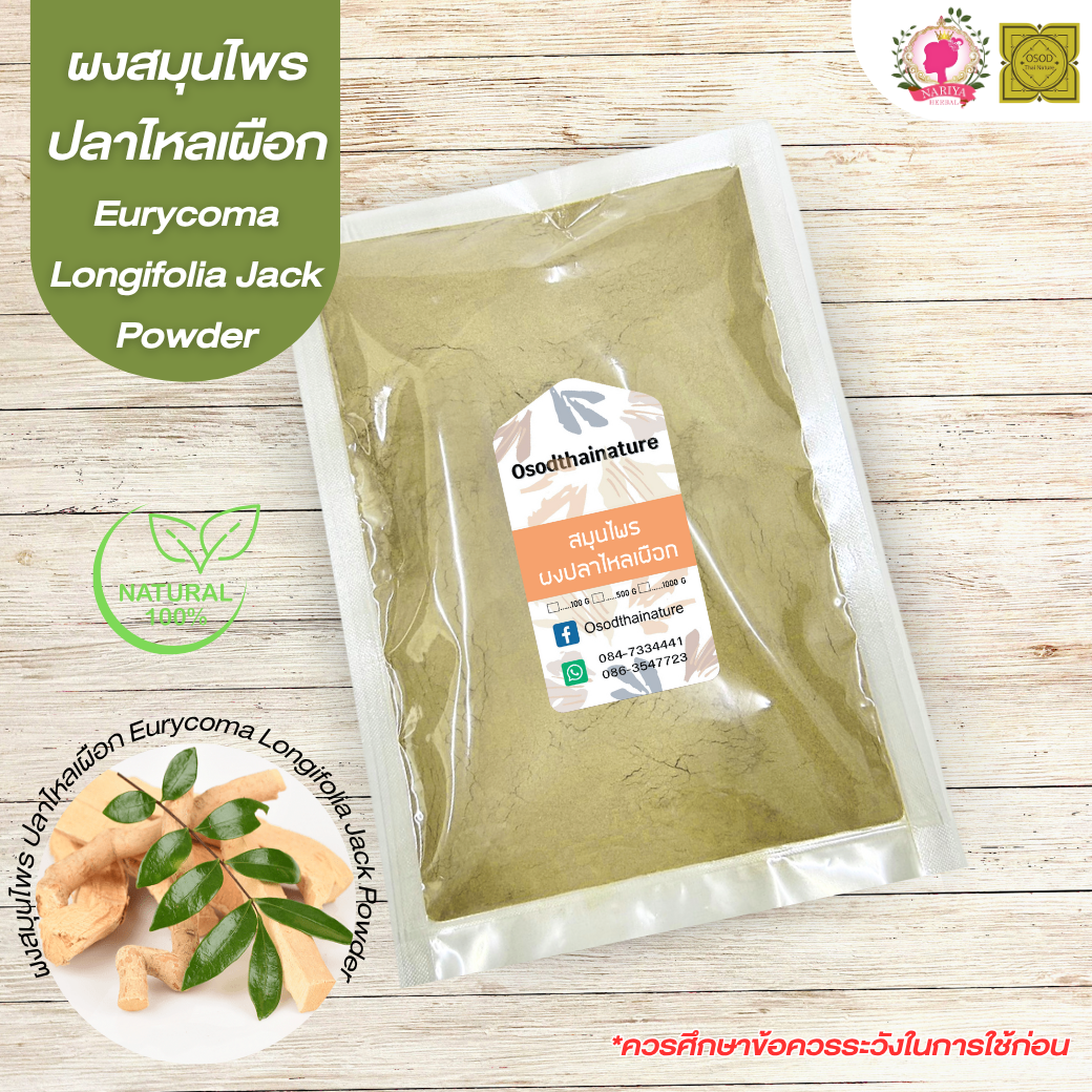 ผงปลาไหลเผือก ขนาด 500 1000 กรัม รากปลาไหลเผือก บดละเอียด สมุนไพร แท้ 100 %