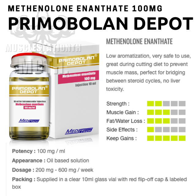 Primo (Primobolan Depot) Meditech (100mg×10ml)