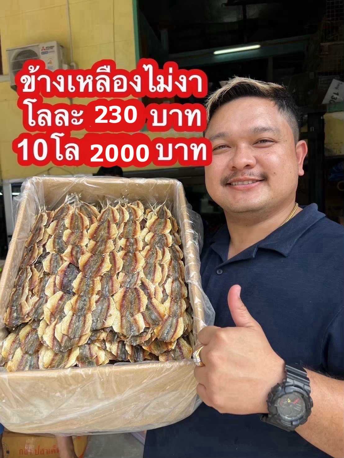 ปลาข้างเหลืองไม่งา 5kg โลละ 200