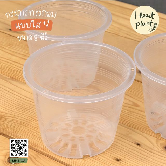 กระถางทรงกลม แบบใส ขนาด 8 นิ้ว ใส่ไม้ใบ ไม้มงคล ไม้ประดับ สลัด ชำราก กระถางใส | Clear Pot 8 Inch