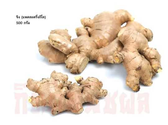 ขิงแก่( ginger)
