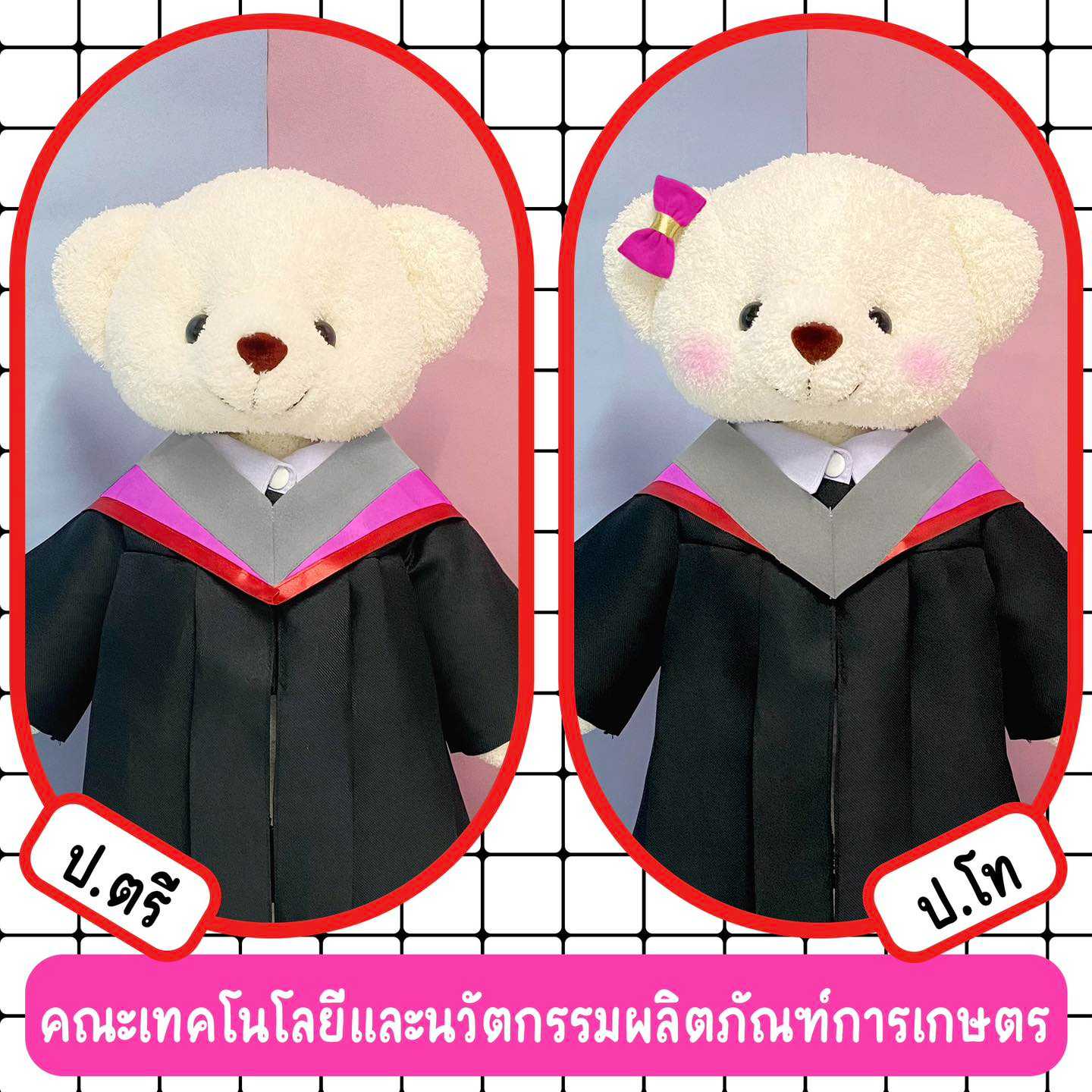 ตุ๊กตาหมีชุดครุย มศว เทคโนโลยีและนวัตกรรมผลิตภัณฑ์การเกษตร