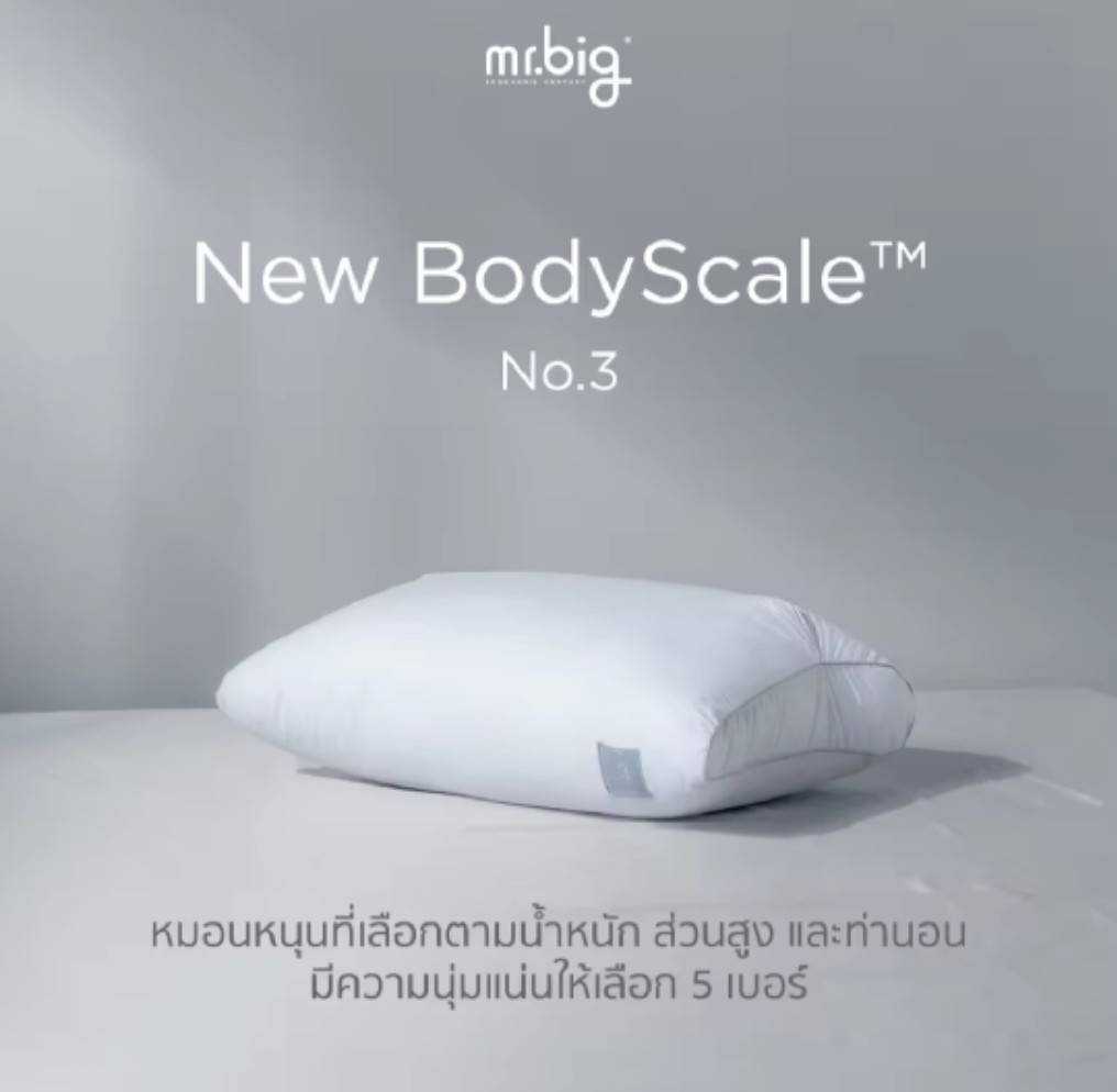mr.big New BodyScale Pillow No.3 : หมอนหนุนเลือกตามน้ำหนักส่วนสูงท่านอน