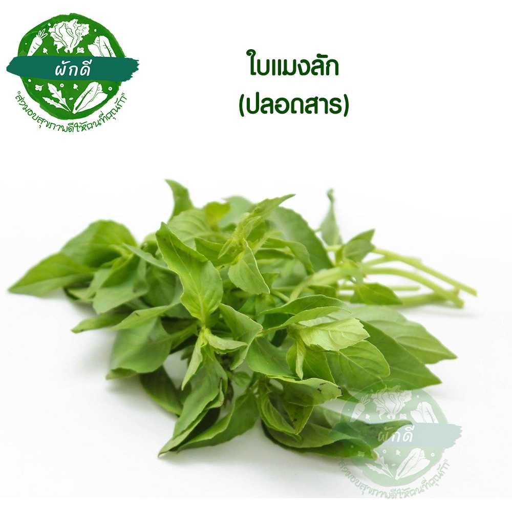 ใบแมงลัก (ปลอดสาร) 150 กรัม