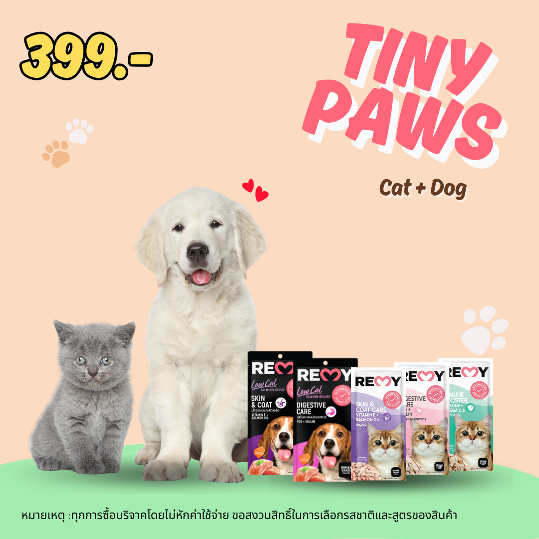 TINY PAW (Cat food + Dog treats)