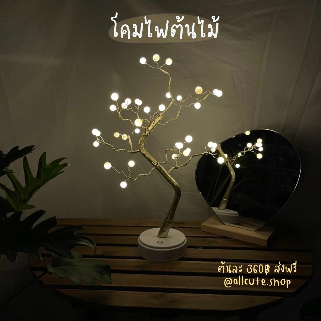 โคมไฟต้นไม้ มี 3 แบบ 🌿✨