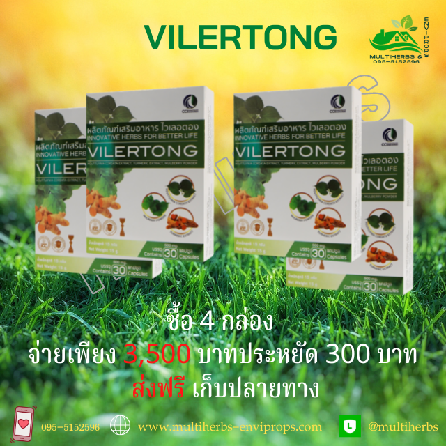 Vilertong ไวเลอตอง สร้างภูมิต้านทานโรค ห่างไกลไวรัสและเชื้อแบคทีเรีย
