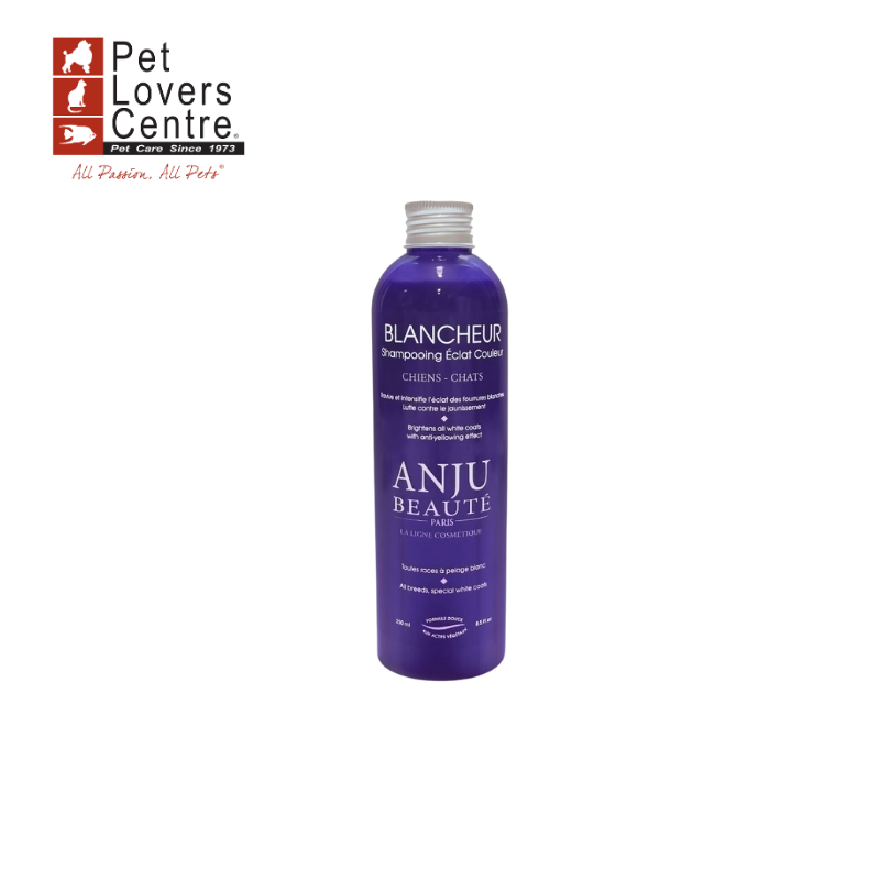 แชมพูสำหรับสุนัขและแมว นำเข้าจากฝรั่งเศส ANJU BEAUTE  BLANCHEUR 250 ML